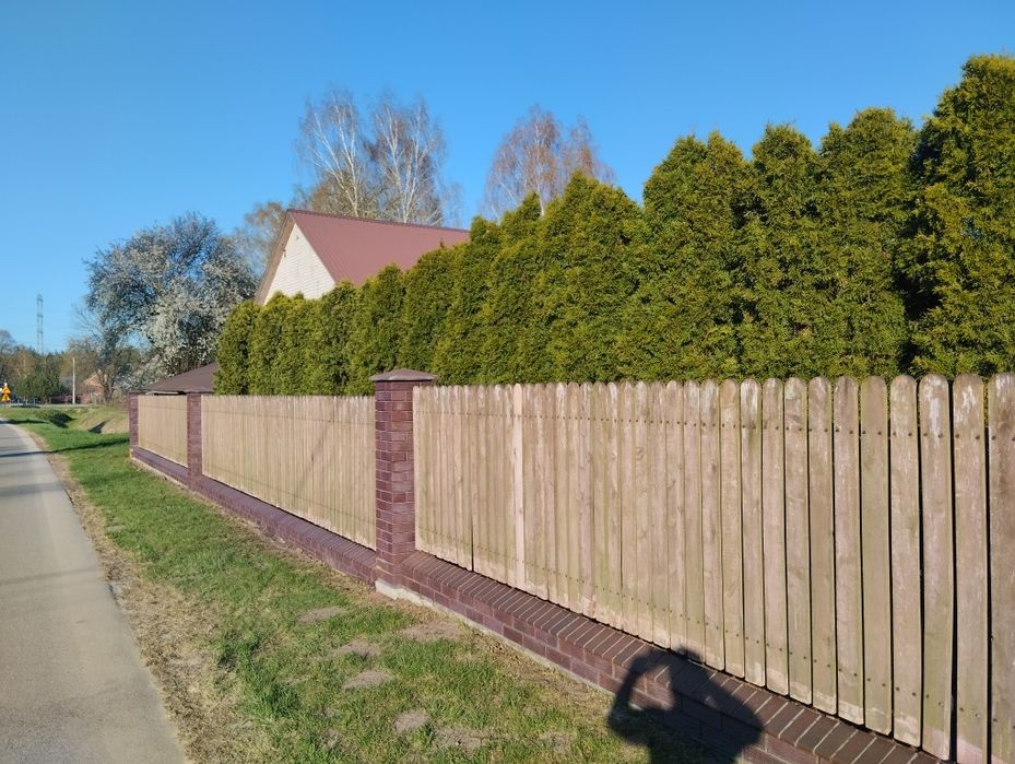 Sztachety olszowe.