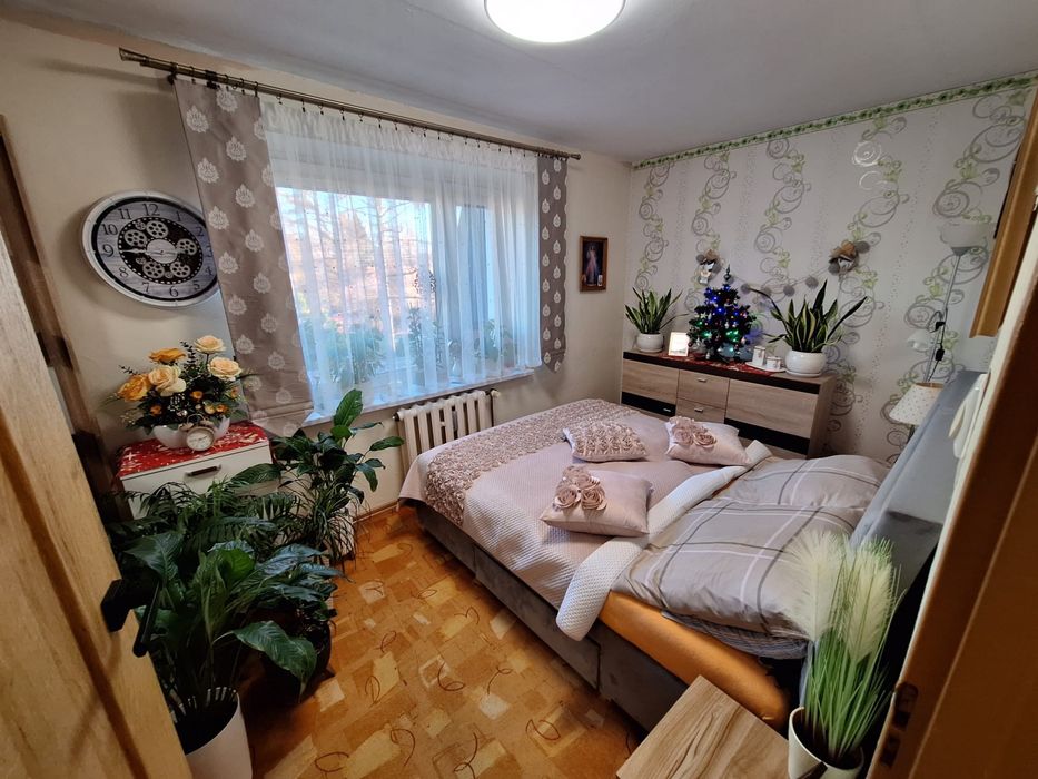 Zdjęcie 7