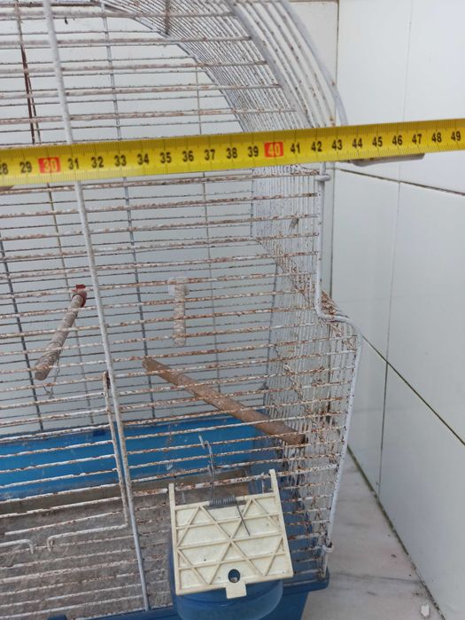Gaiolas para aves com bebedouro, comedouro e poleiros