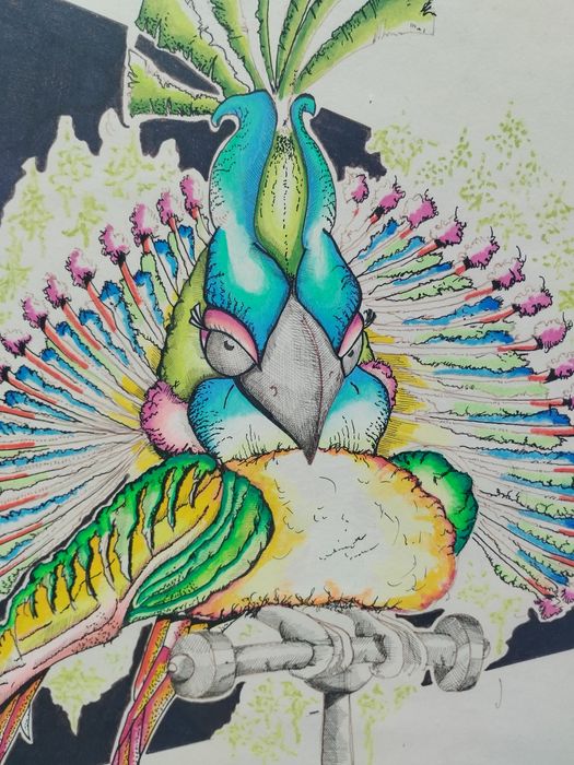 dois quadros "papagaios" pintados a mão, assinados