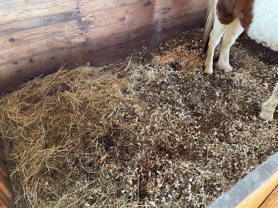 Ekologiczny obornik koński