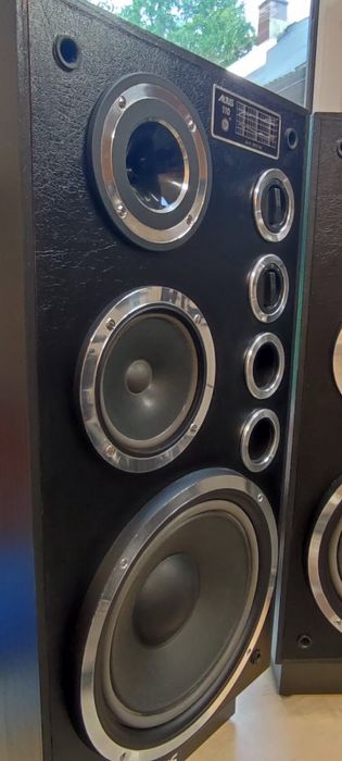 Altus 110 stan igła