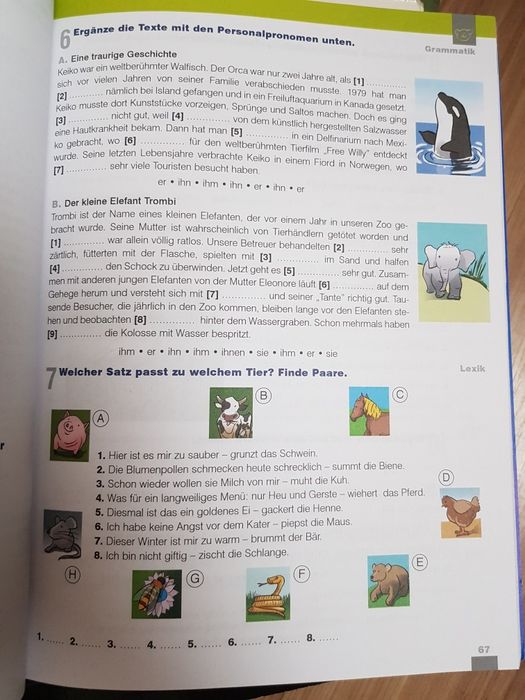 Das ist was książka do języka niemieckiego