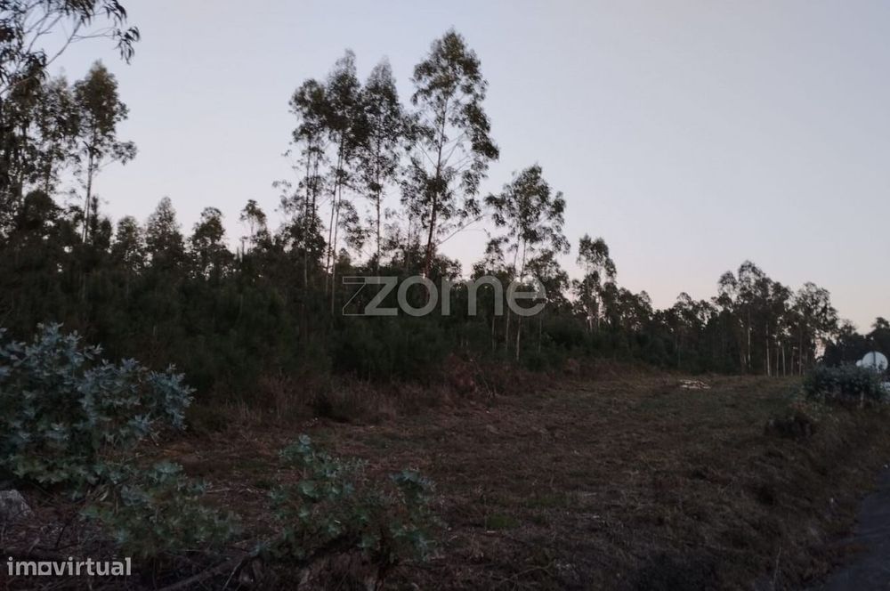 Terreno Rústico à Venda – Vila Nova de Anços 4.100m2
