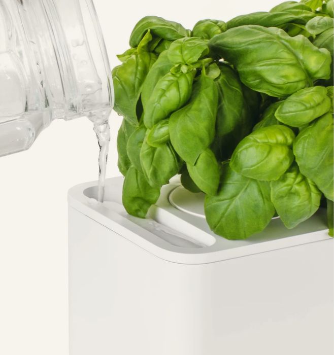 Click and Grow– The Smart Garden 3 (Novo, por abrir)