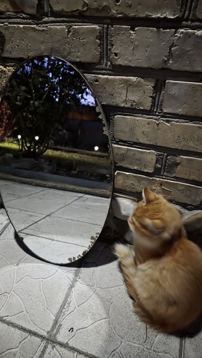 Стіл письмовий, дзеркала