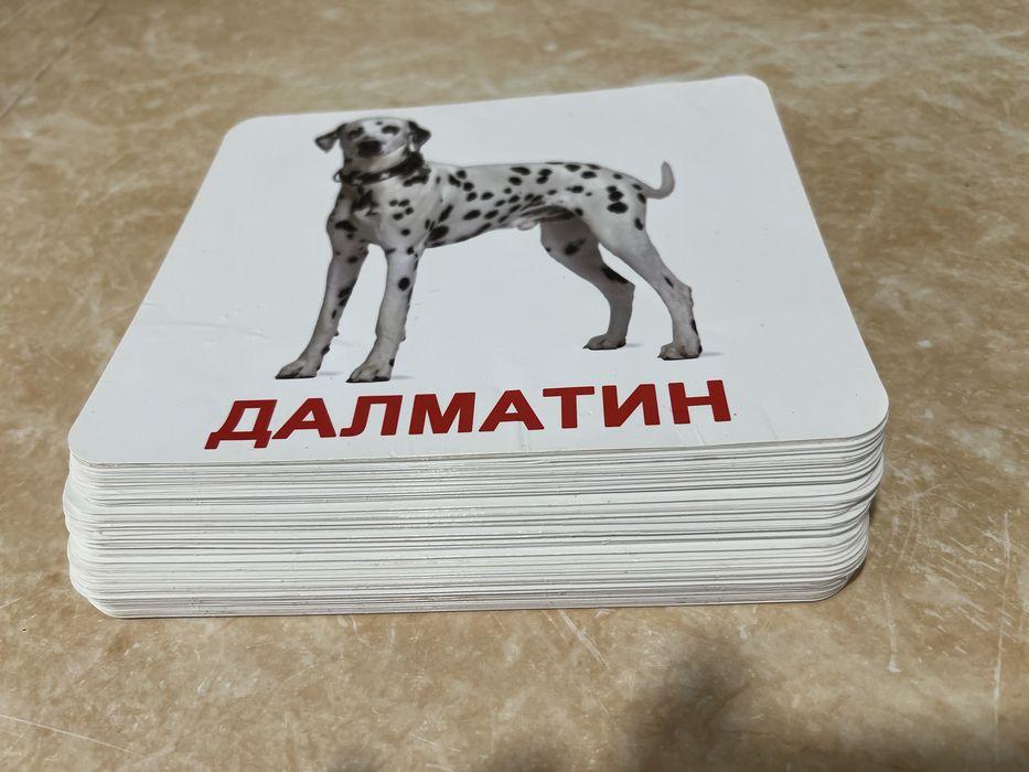 для детей карточки 100 штук