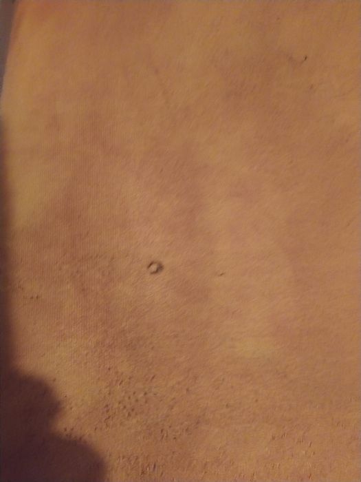 Sofá de dois lugares