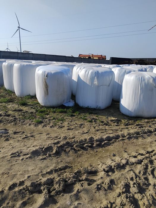 Sianokiszonka baloty