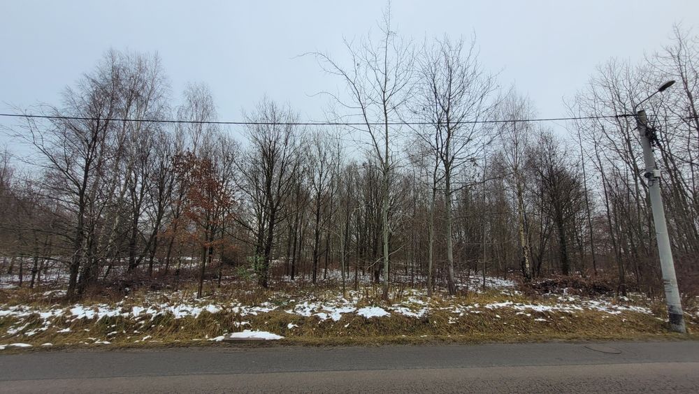 Działka 2500 m2  Bleszno Stradom