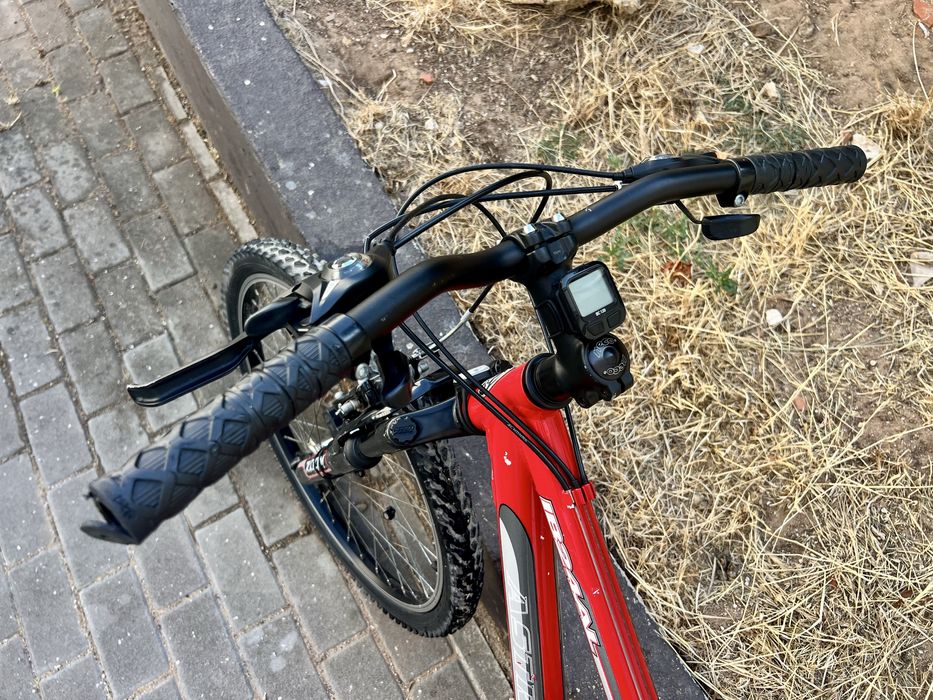 Astro Ibex AL 24 – RESERVADA