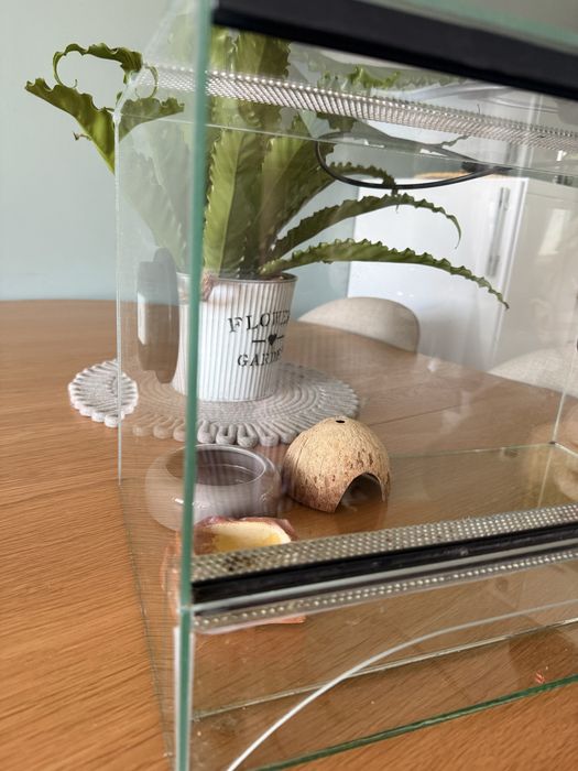 Terriarium po gekonie