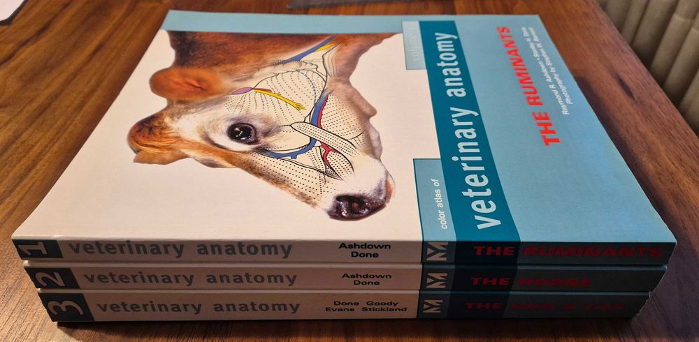 Color Atlas of Veterinary Anatomy 3 vol set em ingles, the ruminants, the horse, the dog & cat