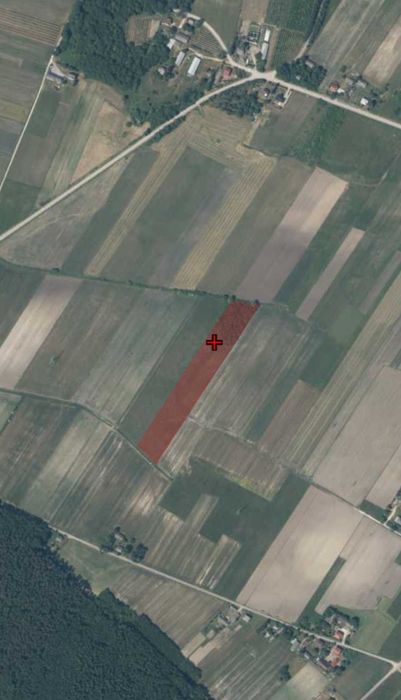 Pole orne 1,63ha - Sieczków gm. Tuczępy - Widok 5