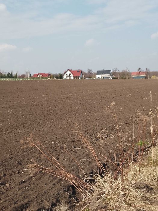 Działka w Krzeptowie koło Smolca