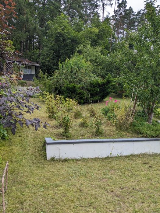 działka ROD Cyranka - Widok 5