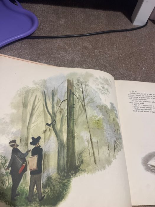 Pan Doremi. Ilustracje J. M. Szancer. Wydanie z 1955r.