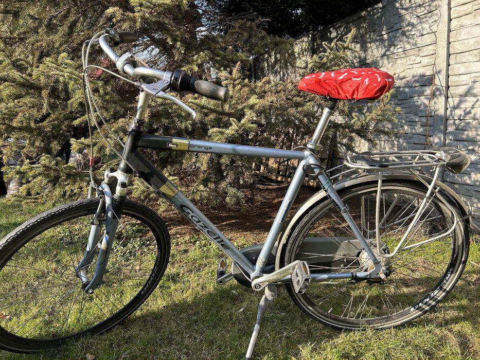 Gazela holenderska