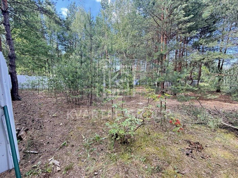 Продам неймовірну земельну ділянку серед лісу !28500 – další