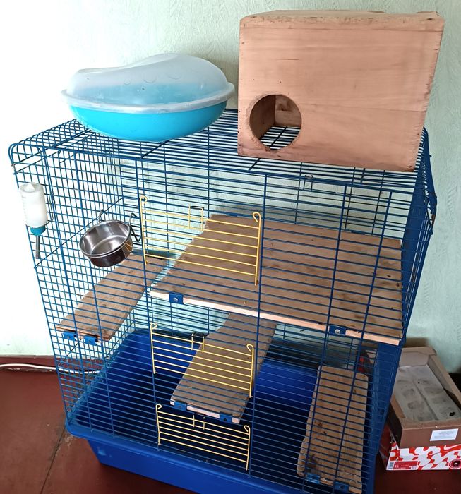 Клітина для гризунів найбільша