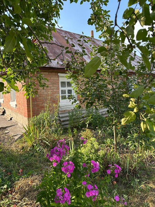 Продам будинок в селі Шамраївка