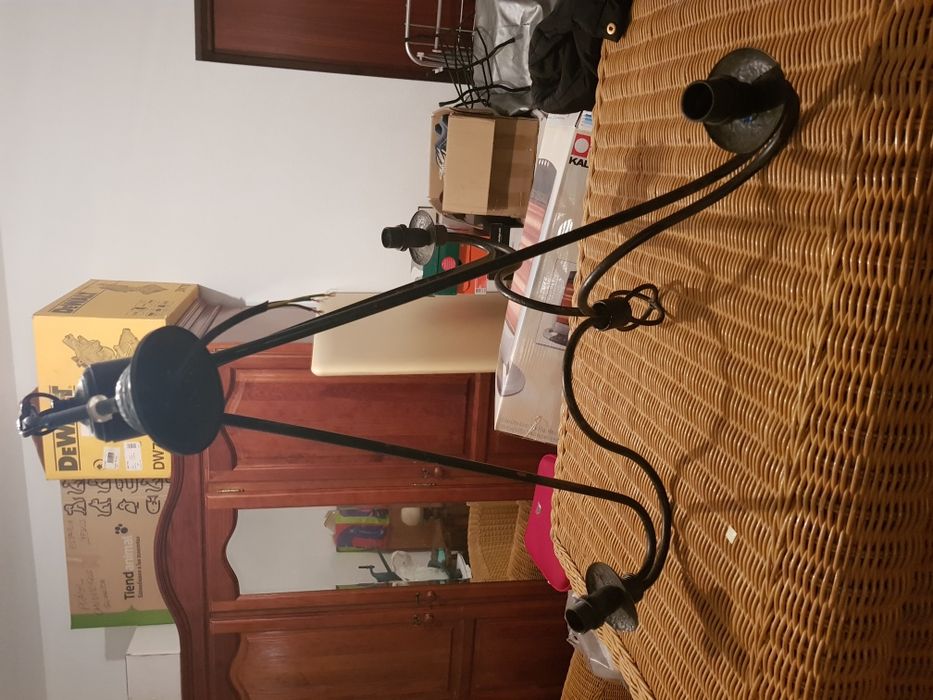 1 Black Ceiling Lamp