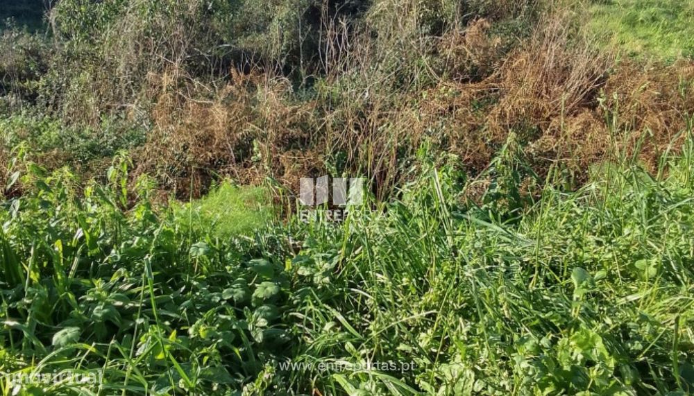 Venda de Terreno para construção, Deocriste, Viana do Castelo. — Subportela, Deocriste E Portela Susã, Viana do Castelo