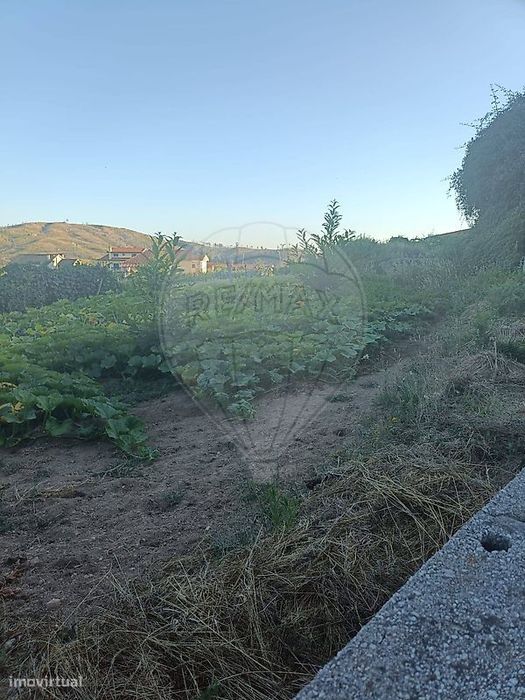 Terreno  para venda