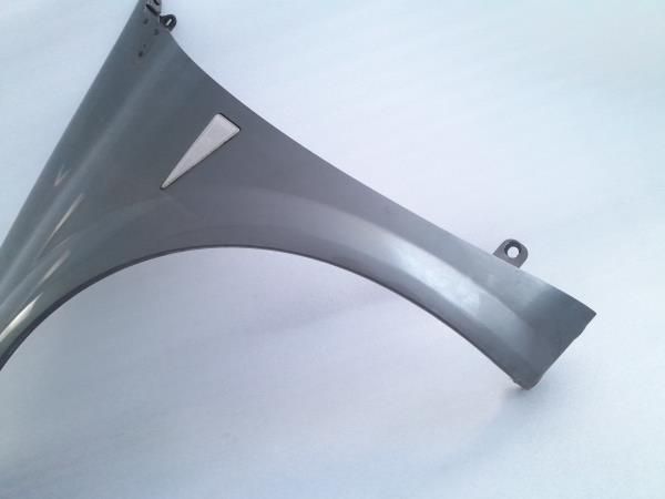 Guarda-lamas esquerdo RENAULT Megane II (BM0/1_, CM0/1_)