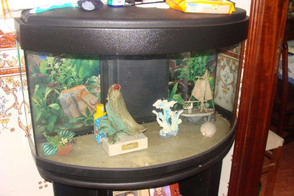 vendo aquario como novo