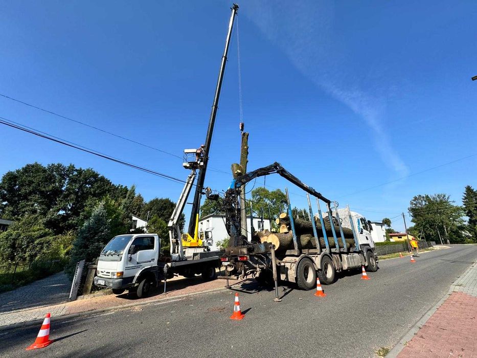 wycinka drzew / przycinanie / tuje / usługi wysokościowe / mulczowanie