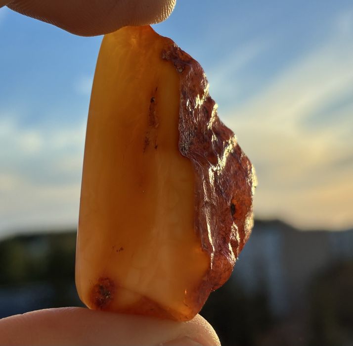 Bursztyn bałtycki bryłka polerowana 15,6g