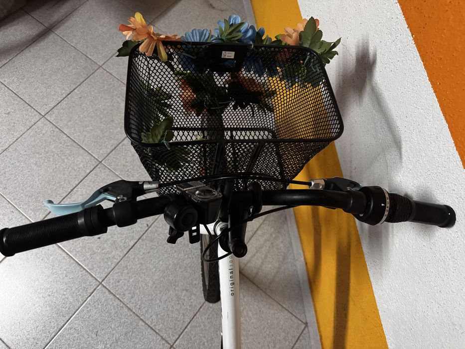 Bicicleta Junior