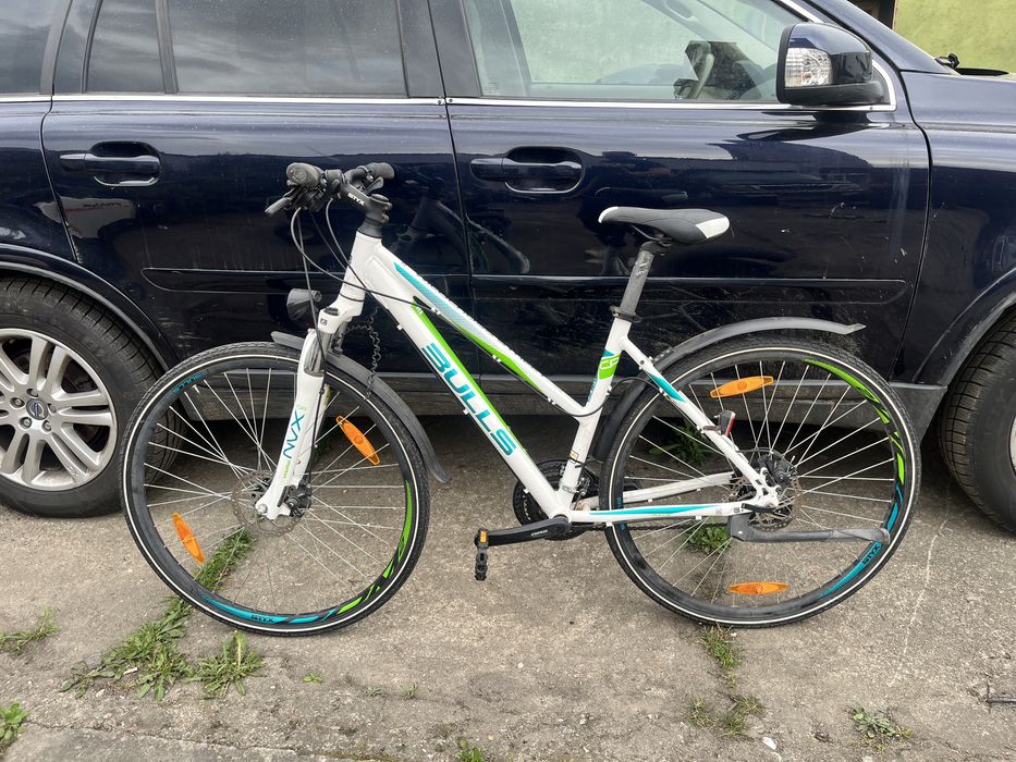 Rower Bulls Wildcross Street