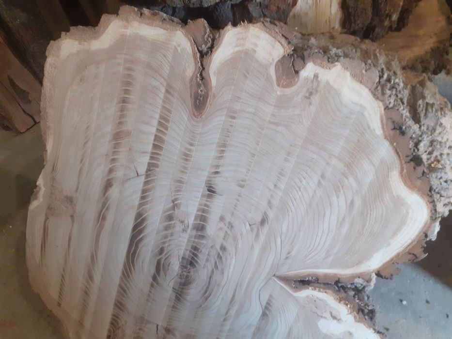 Слеб торцевой 1 метр диаметром