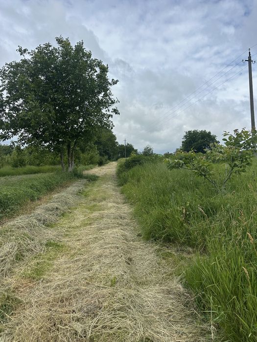 Продається земельна ділянка в Щітках