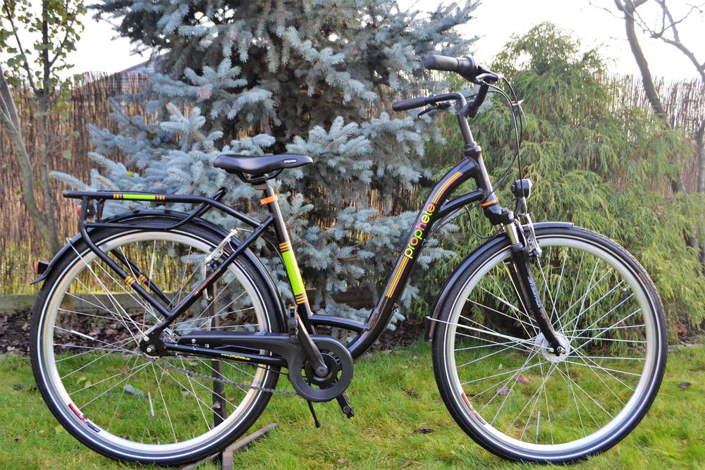 Rower miejski Prophete Geniesser 2.0 50cm/M