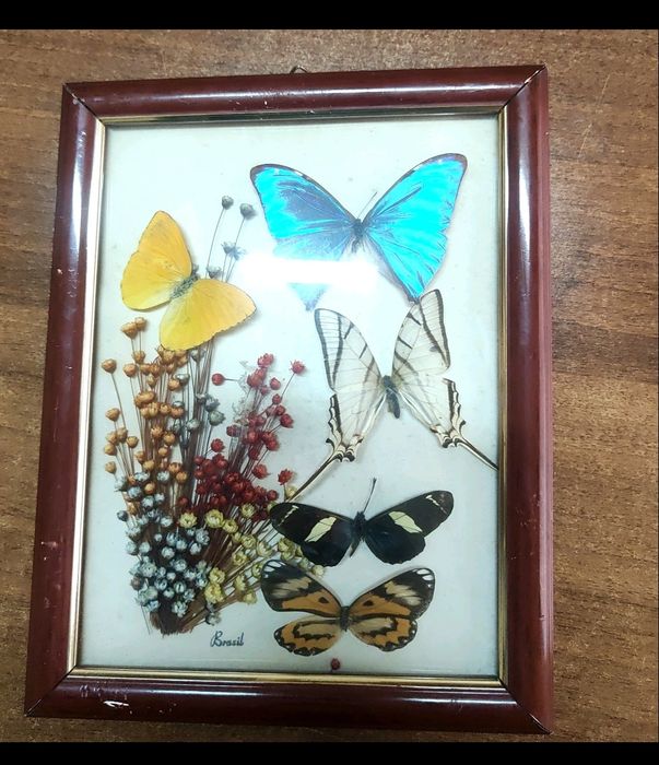Quadros decorativos