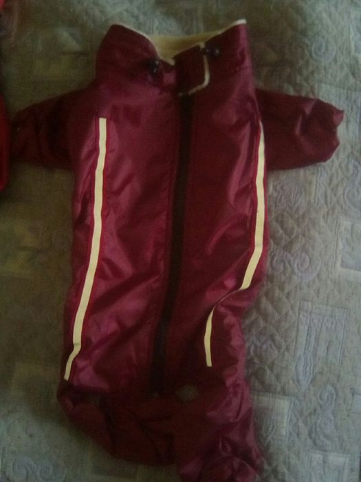 Комбинезон для собаки зимний на меху N3 французский бульдог, мопс