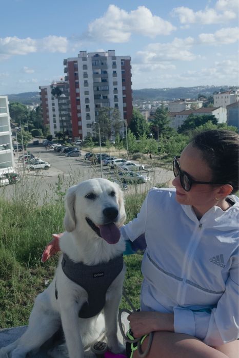Petsitter em Coimbra