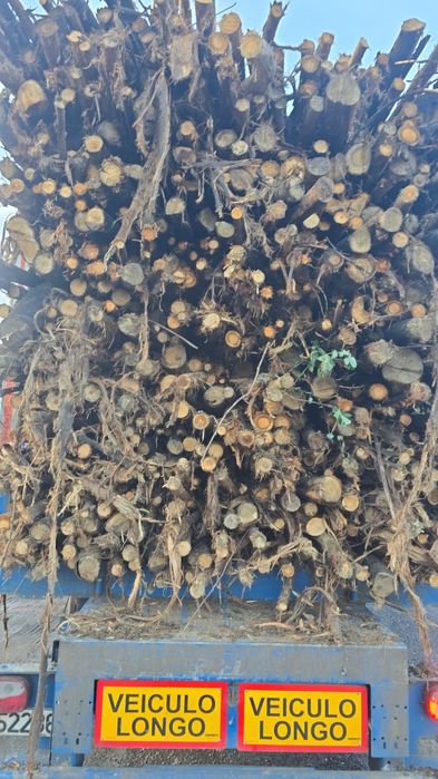 Vende se lenha mista