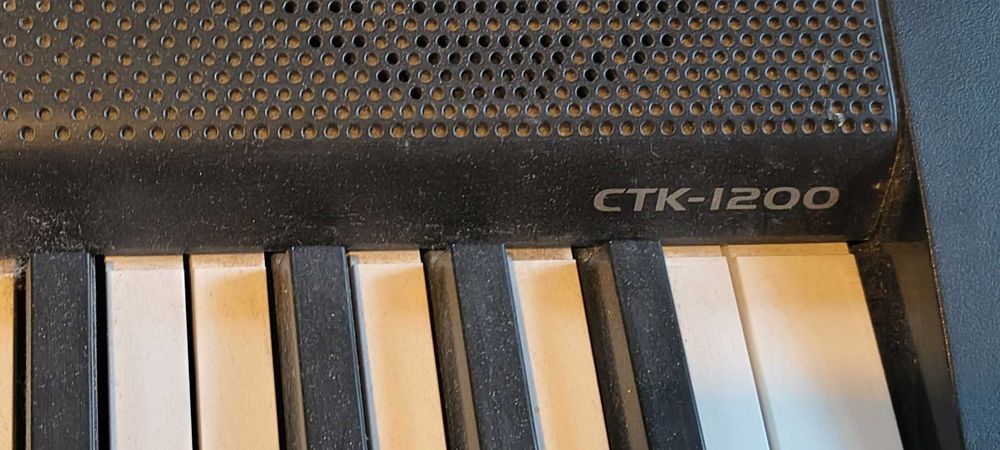 Kayboard Casio CTK-1200