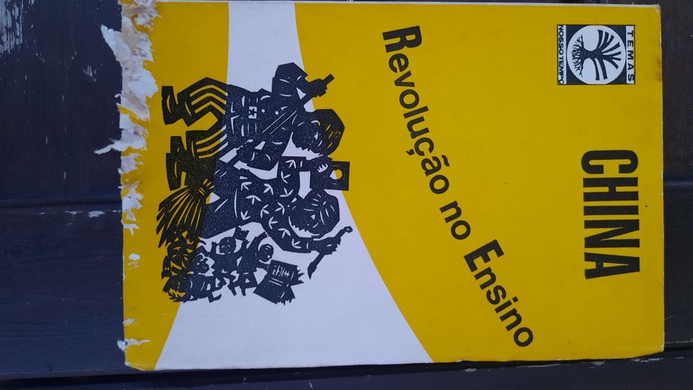 China: Revolução no Ensino