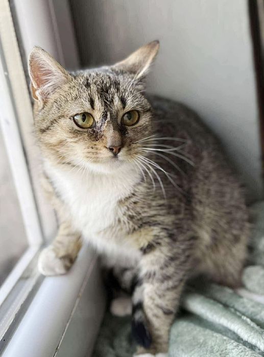 Kochana Lucy prosi o dom...