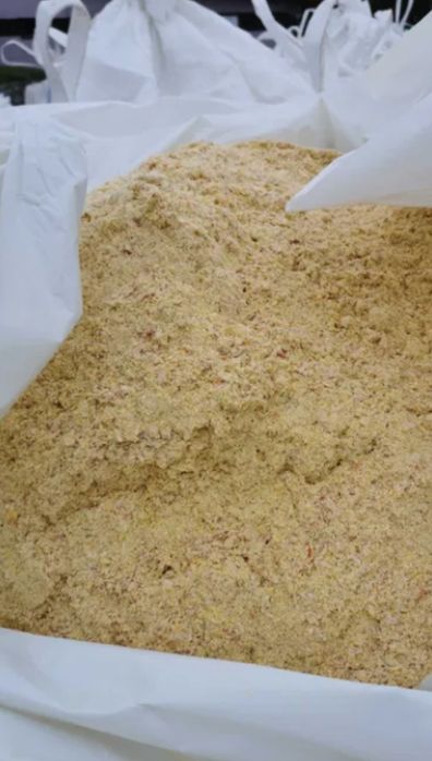 Ccm kiszone ziarno kukurydzy (śrutowane, gniecione)