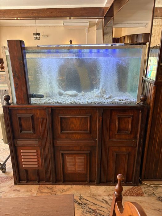 Aquário Completo 600L