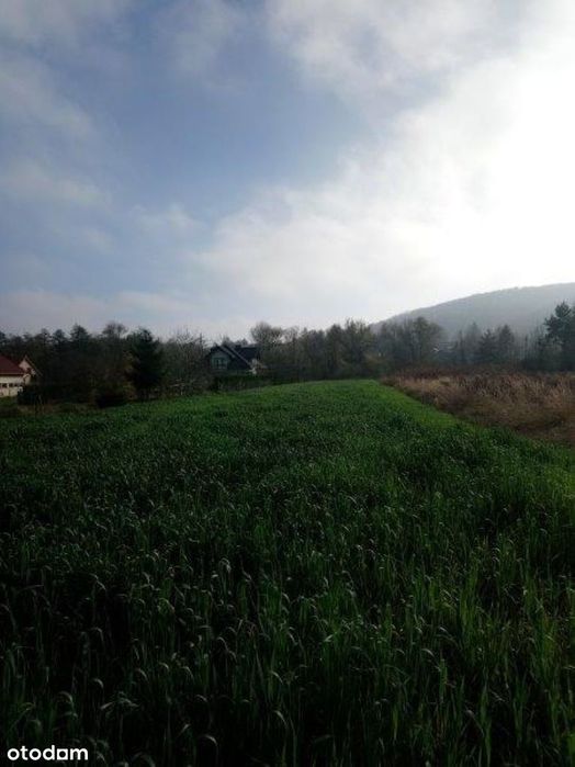 Działka budowlana 21,61 Ar Krzeszowice Nawojowa Góra - Widok 5