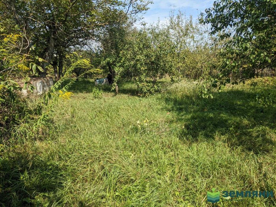 Продаж Дачі 5,01 сот в с.Вовчинець, СТ Агрохімік (5)