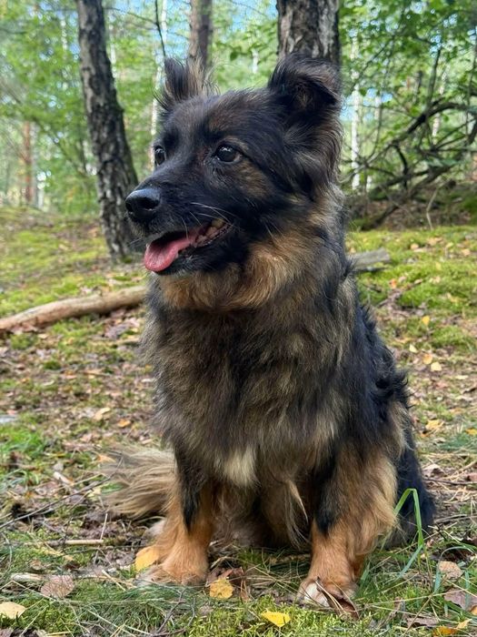 Ronia wrazliwa sunia ktora potrzebuje czulosci