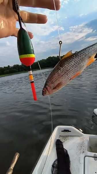 Spławik wędkarski 15 gr.